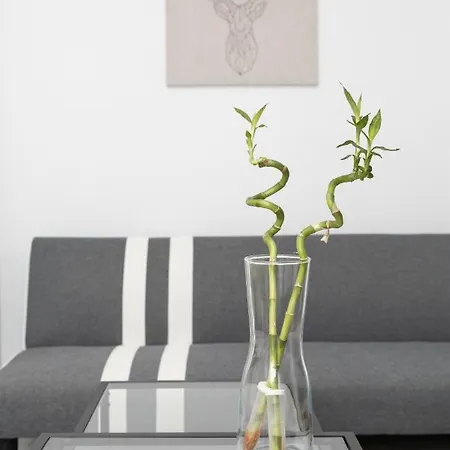 Apartament White Lux House In Town Salonic